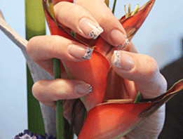 Nagelstudio Karben: Arbeitsprobe Nailart Nagelstudio Karben: Arbeitsprobe Nailart